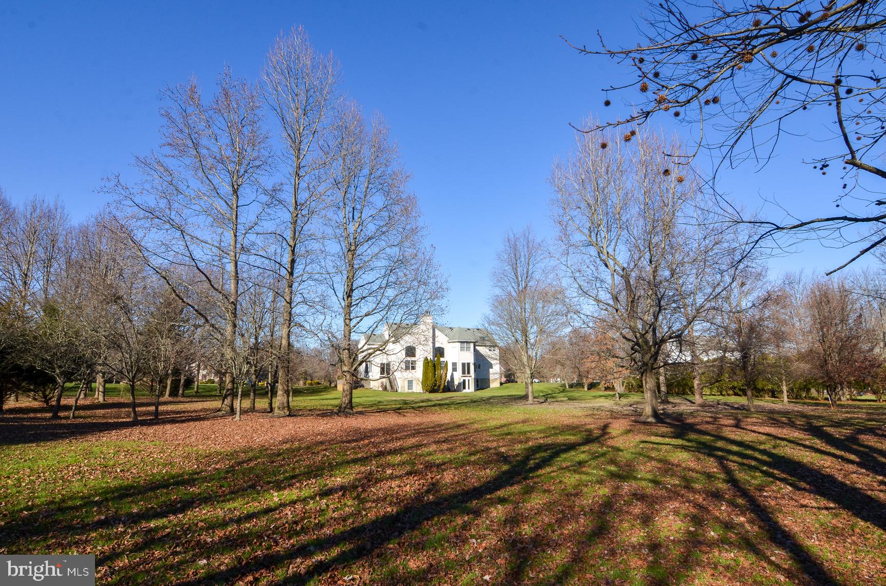 4 Millennium Drive Columbus, NJ 08022 - Photo 48 of 50 Backyard