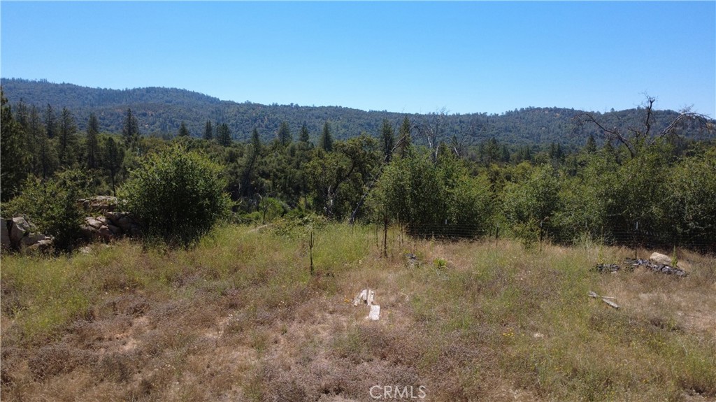 390 Darby Road Bangor, CA 95914 - Photo 9 of 20