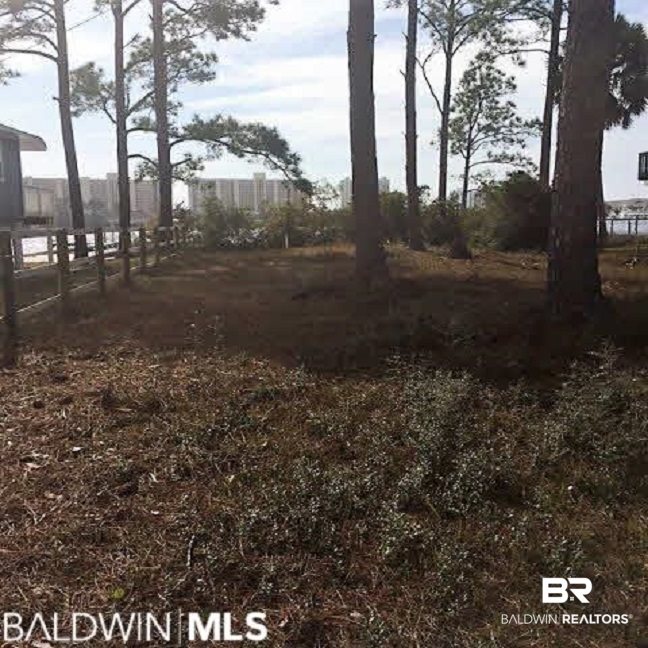 0 Moses Road Orange Beach, AL 36561 - Photo 6 of 6