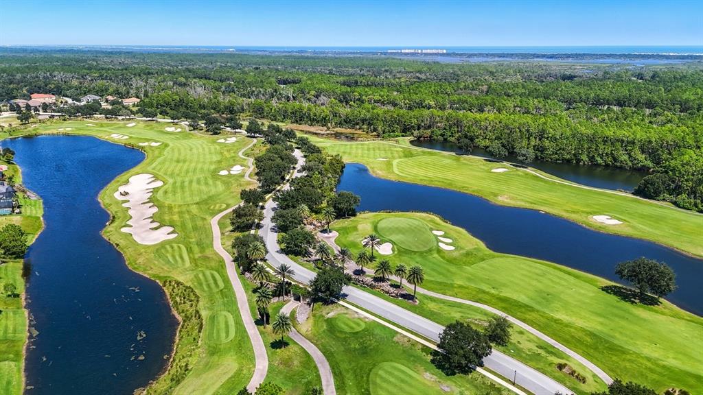 323 Hibiscus Way Palm Coast, FL 32137 - Photo 13 of 25 a view of a swimming pool with a yard