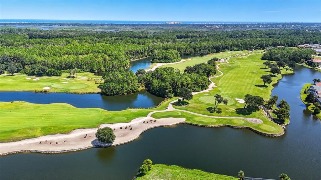 323 Hibiscus Way Palm Coast, FL 32137 - Photo 15 of 25 a view of an outdoor space yard swimming pool and outdoor seating