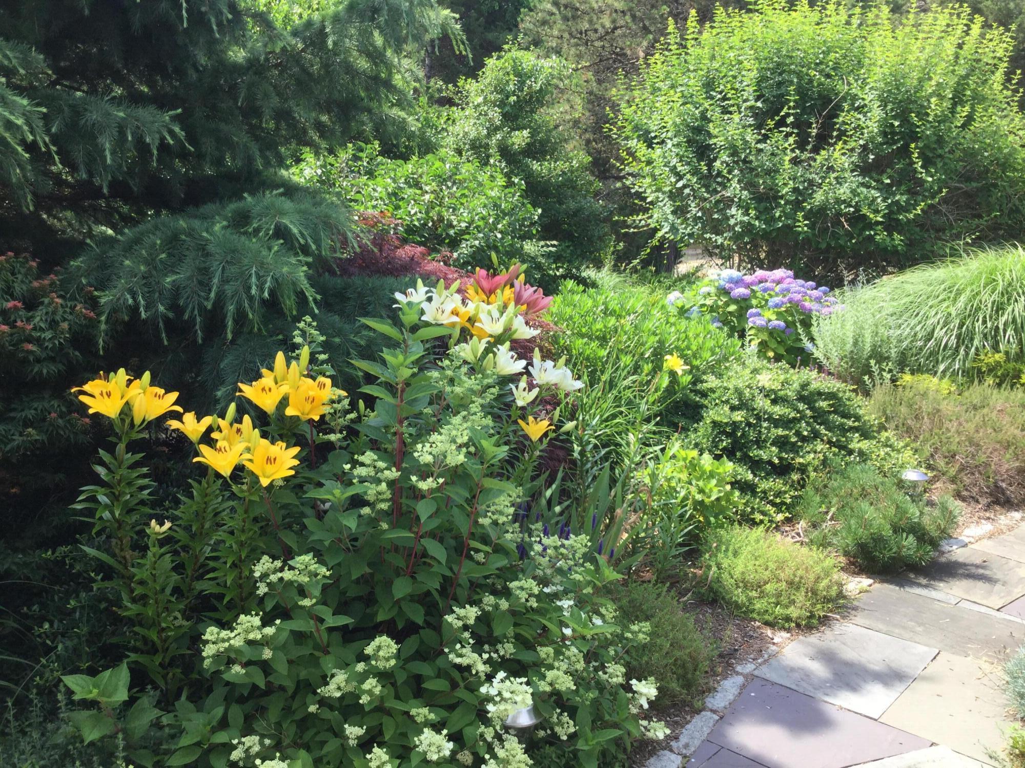 35 Sands Road Eastham, MA 02642 - Photo 59 of 79 IMG_0517