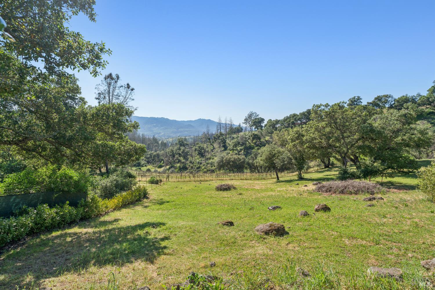 1044 Deer Park Road Deer Park, CA 94576 - Photo 38 of 56