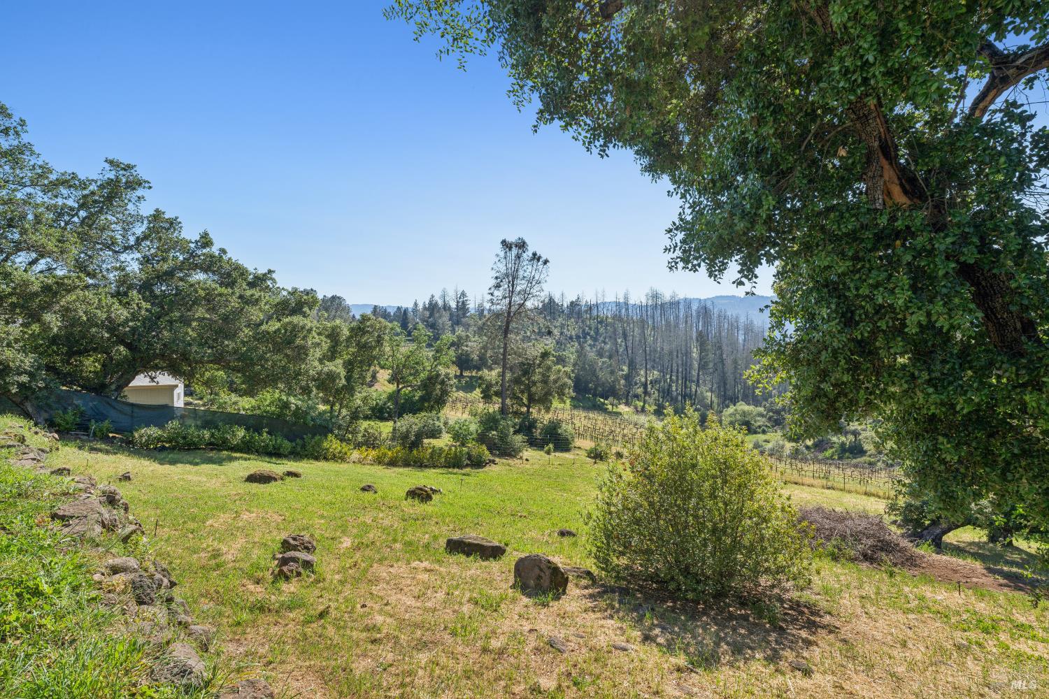 1044 Deer Park Road Deer Park, CA 94576 - Photo 41 of 61