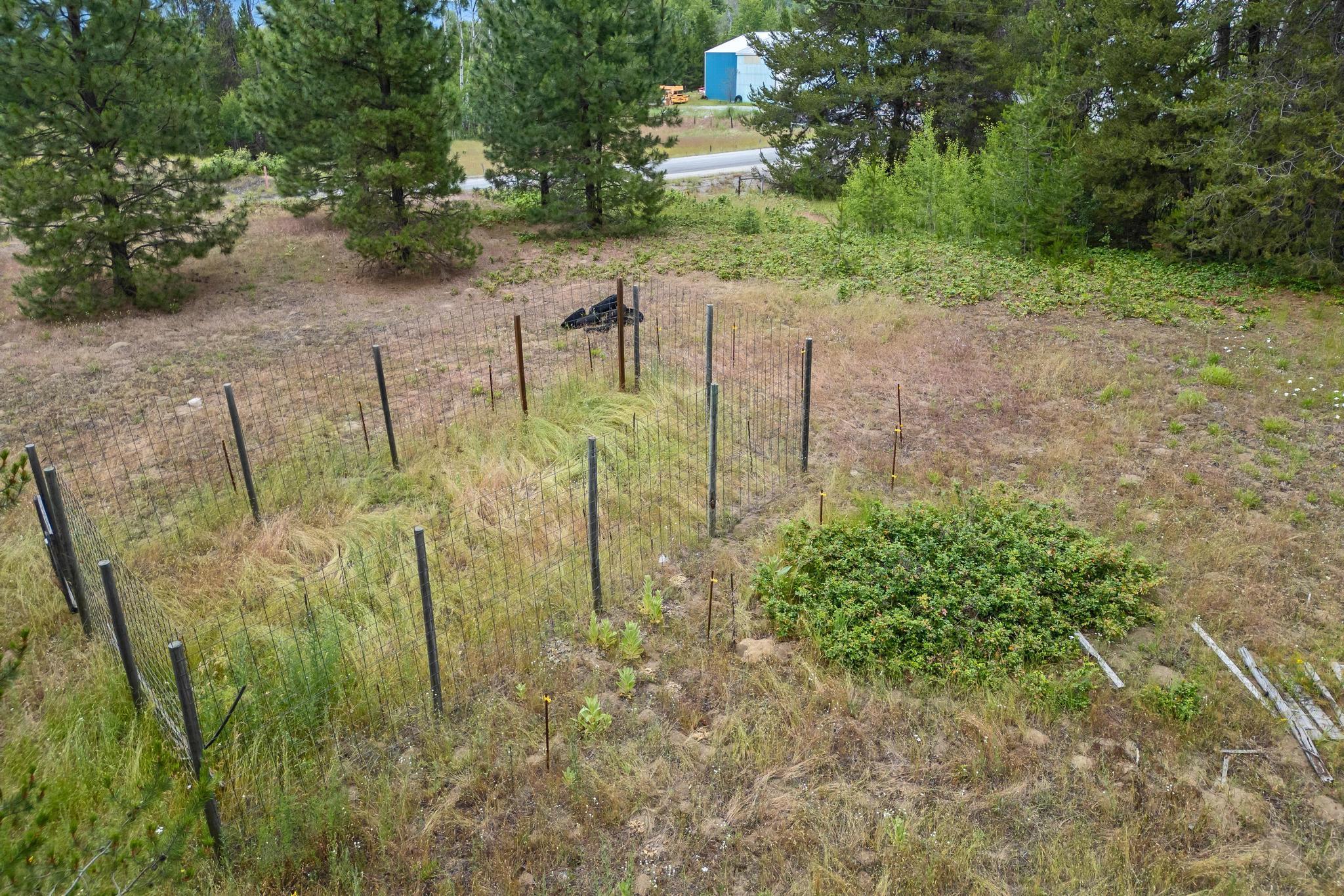 4186 Wright Road Northport, WA 99157 - Photo 31 of 50