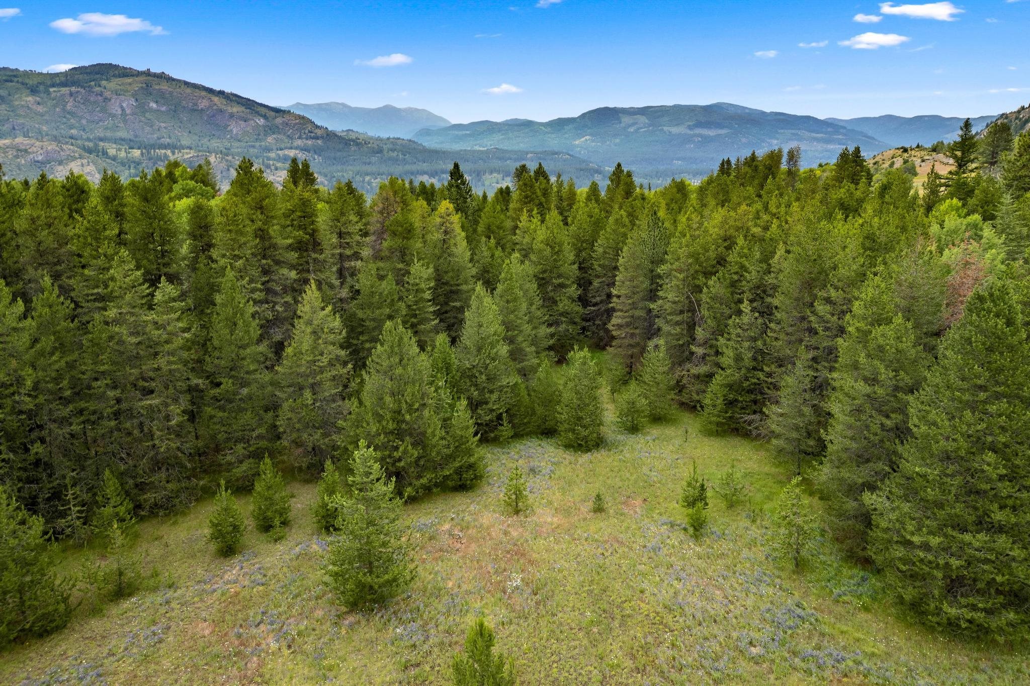 4186 Wright Road Northport, WA 99157 - Photo 33 of 50