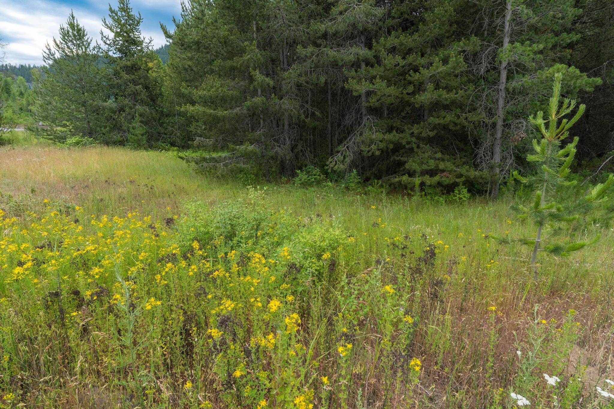 4186 Wright Road Northport, WA 99157 - Photo 35 of 50