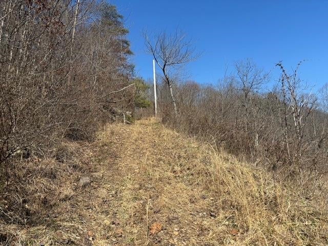 397 Camp Creek Road Crum, WV 25669 - Photo 9 of 9 Gallery Image 9