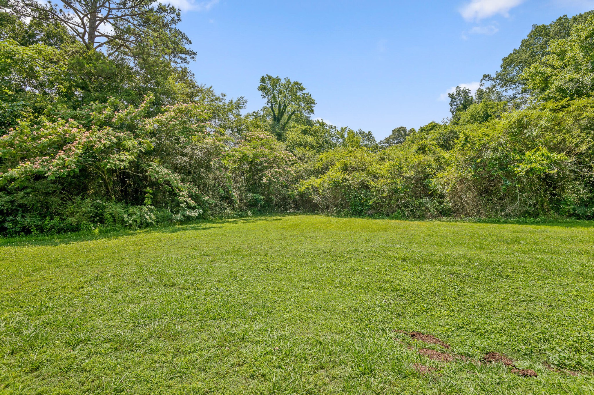0 Shallowford Road Chattanooga, TN 37411 - Photo 3 of 21 a view of a field with an trees