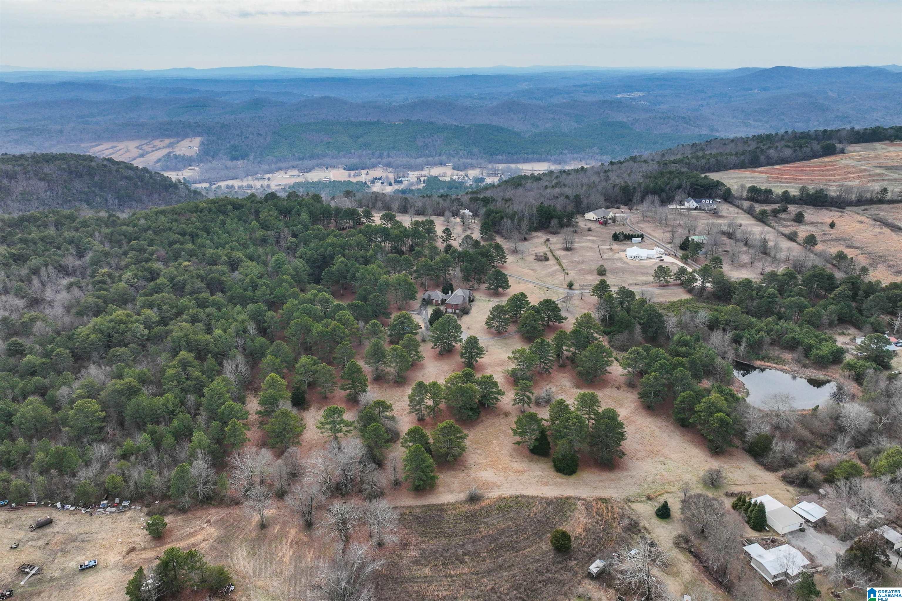 275 Timber Ridge Drive Springville, AL 35146 - Photo 72 of 80