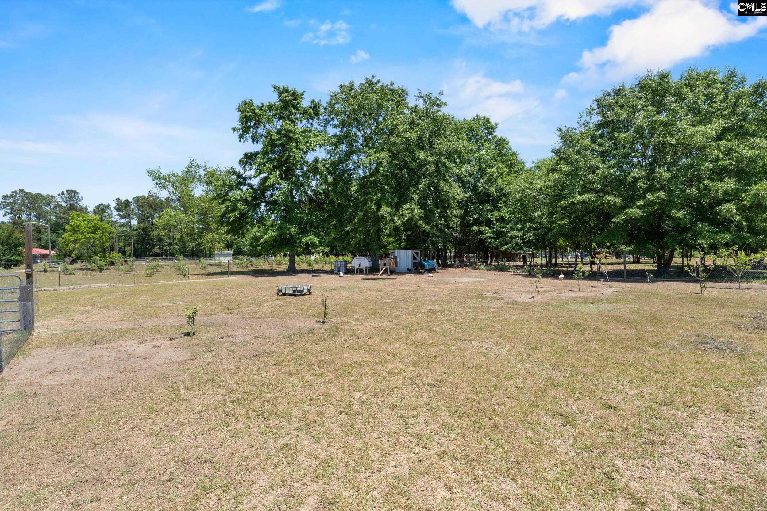 1633 Shillings Bridge Road Orangeburg, SC 29115 - Photo 27 of 43