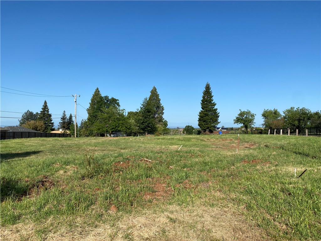 72 Seaman Lane Paradise, CA 95969 - Photo 3 of 6 a view of field with trees in the background