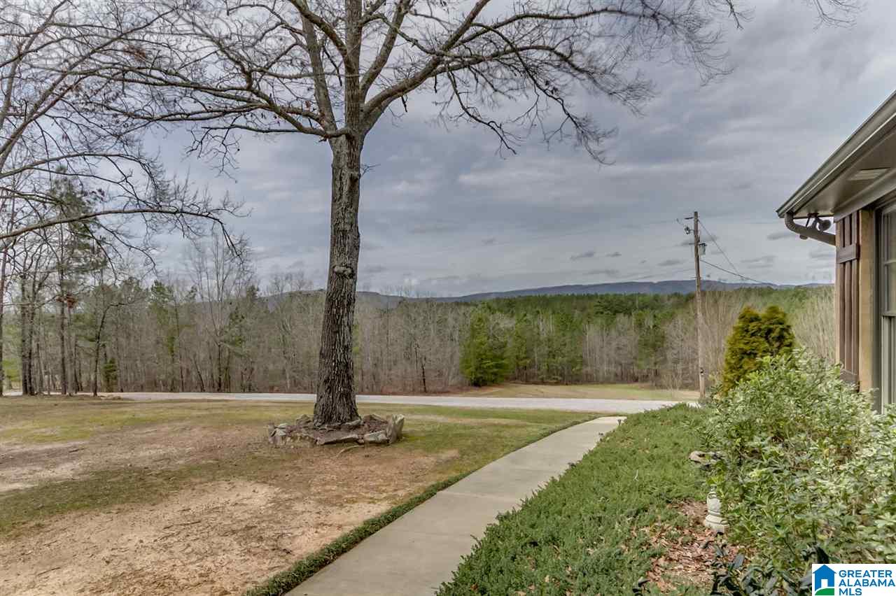 484 Cedar Hill Farm Road Sterrett, AL 35147 - Photo 13 of 50