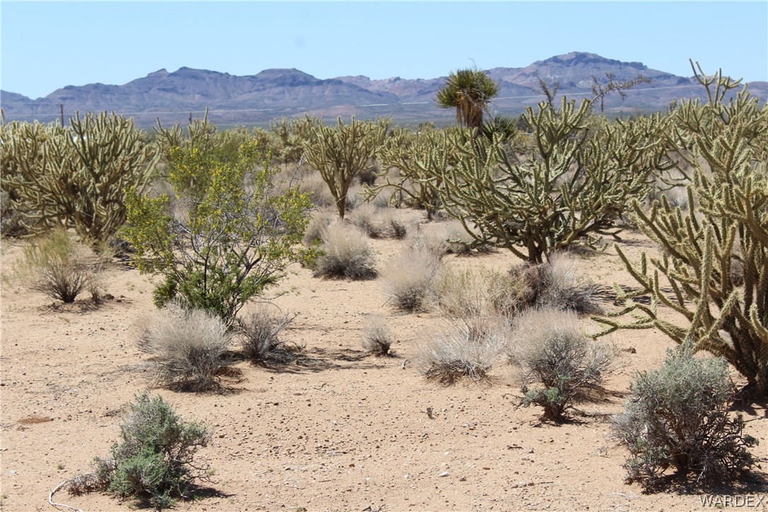 4197 Cordes Road Golden Valley, AZ 86413 - Photo 46 of 51 a view of a dry with mountains in the background
