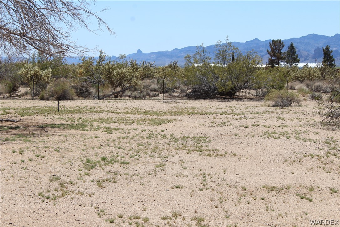 4197 Cordes Road Golden Valley, AZ 86413 - Photo 49 of 51 a view of mountain view with trees