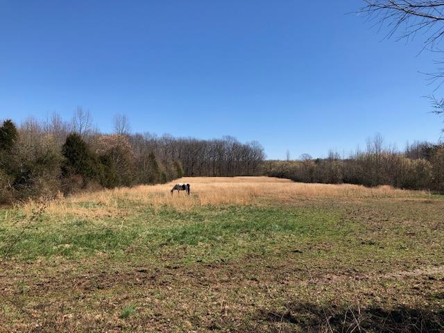 3424 Post Oak Road Belvidere, TN 37306 - Photo 23 of 23 Gallery Image 23
