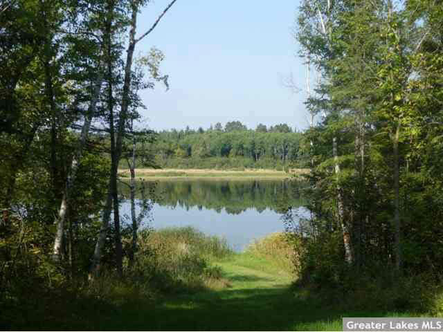 20003 Stockyard Road Bagley, MN 56621 - Photo 9 of 12 Gallery Image 9