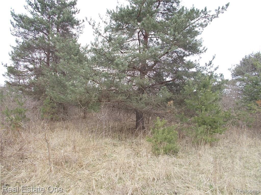0 North Lake George Road Oakland, MI 48363 - Photo 10 of 55