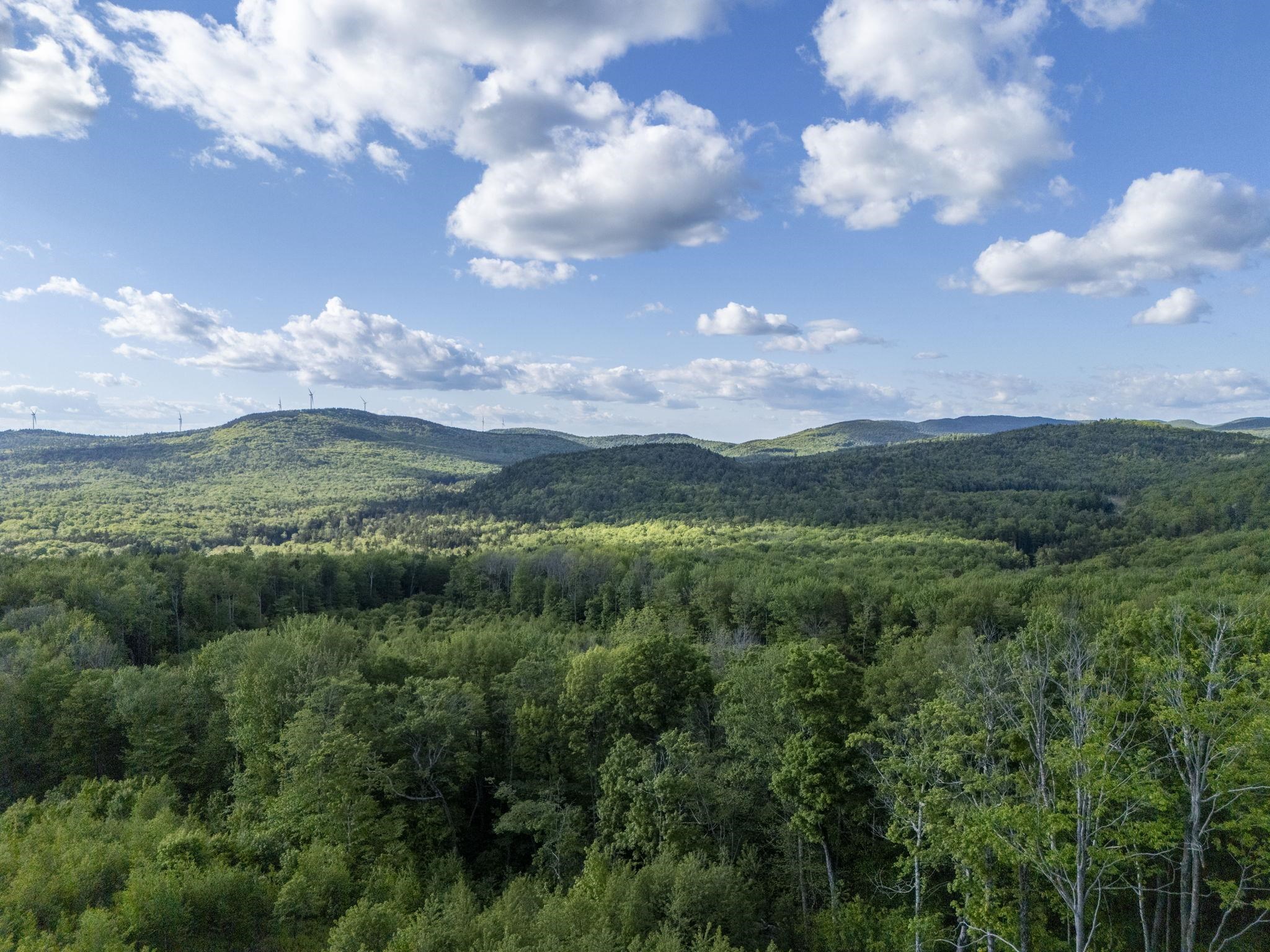 179 Washington Heights Road Washington, NH 03280 - Photo 40 of 53
