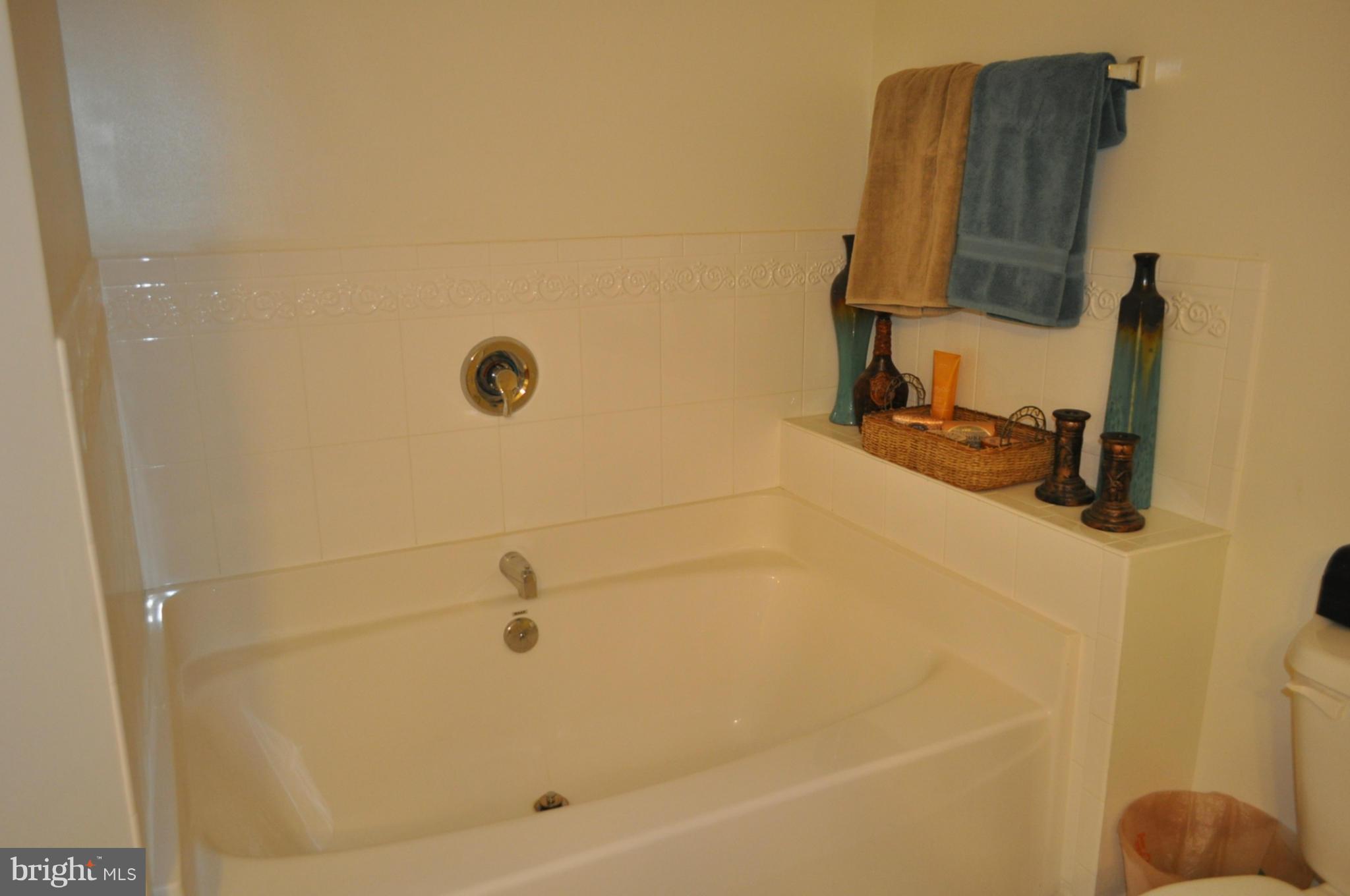 484 Thumper Drive Ranson, WV 25438 - Photo 21 of 30 garden tub