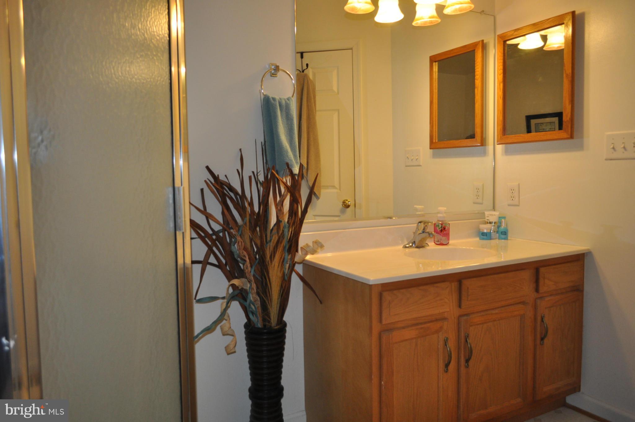 484 Thumper Drive Ranson, WV 25438 - Photo 22 of 30 standing shower