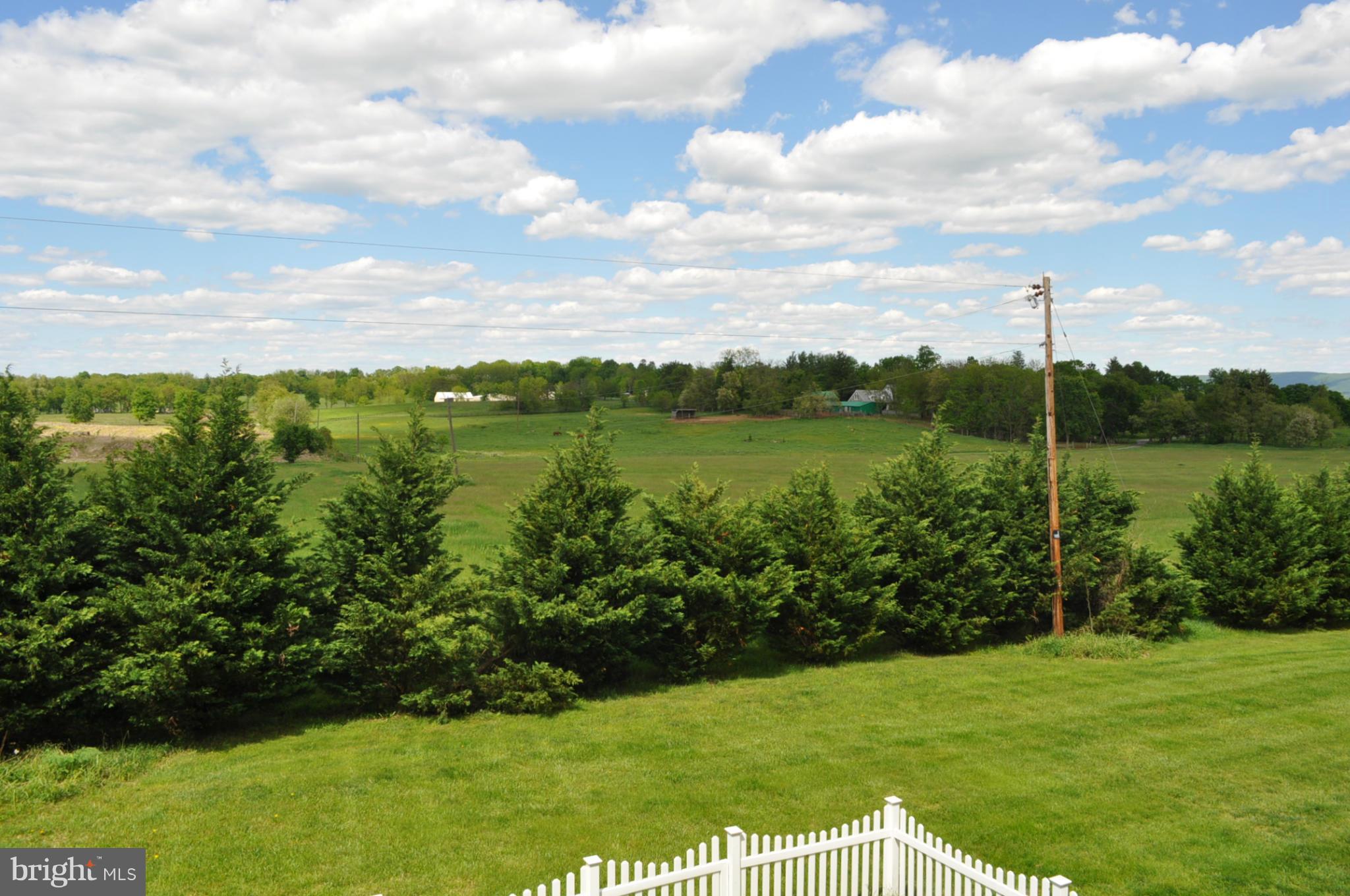 484 Thumper Drive Ranson, WV 25438 - Photo 29 of 30 Beautiful views