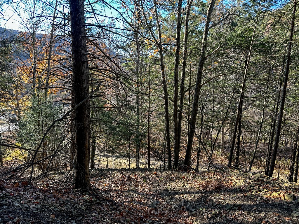 Vl Lot 3 Vl Road Cameron, NY 14819 - Photo 8 of 35