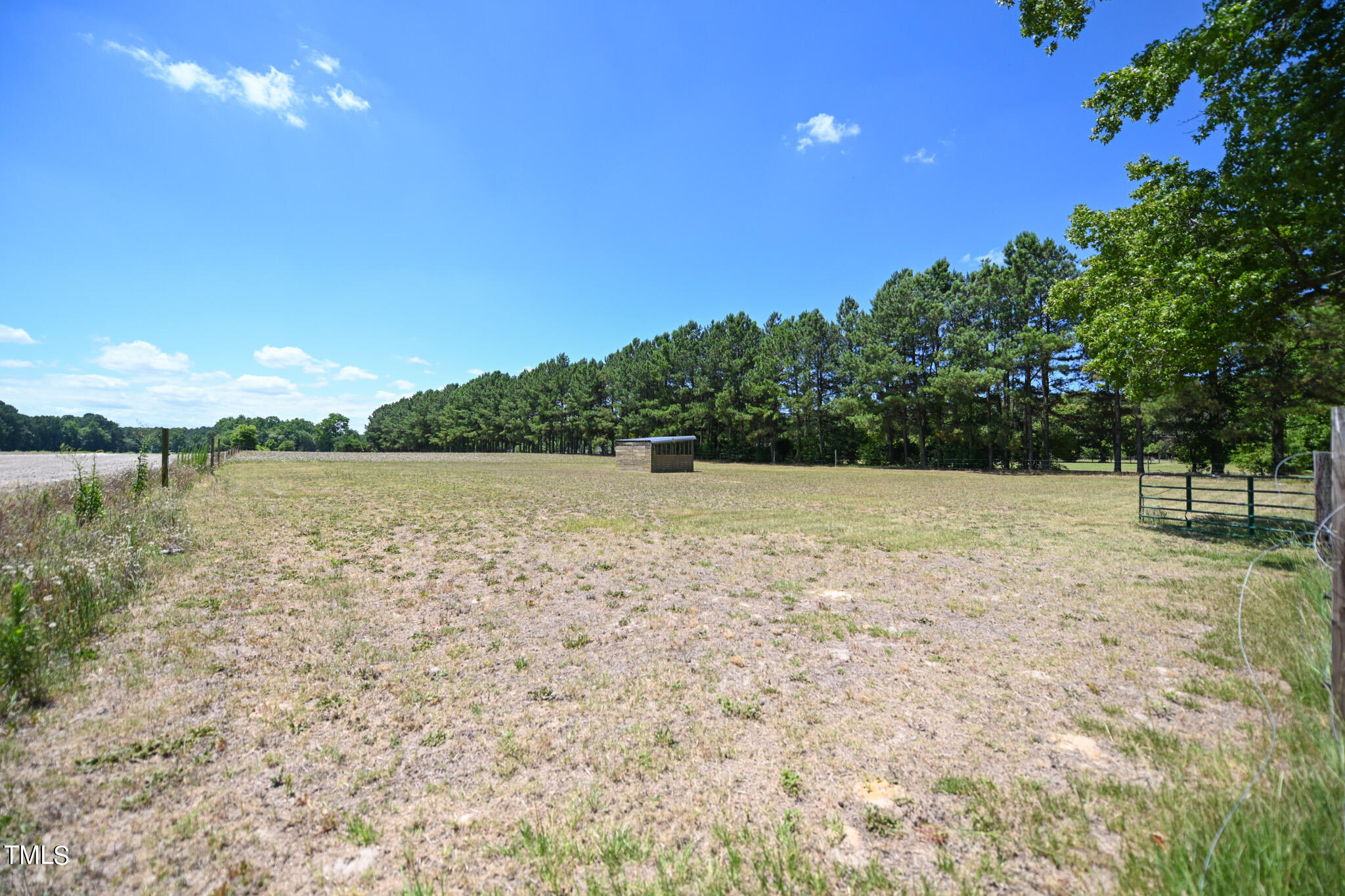 270 Edwards Store Road Mount Olive, NC 28365 - Photo 1 of 13 DSC_2257