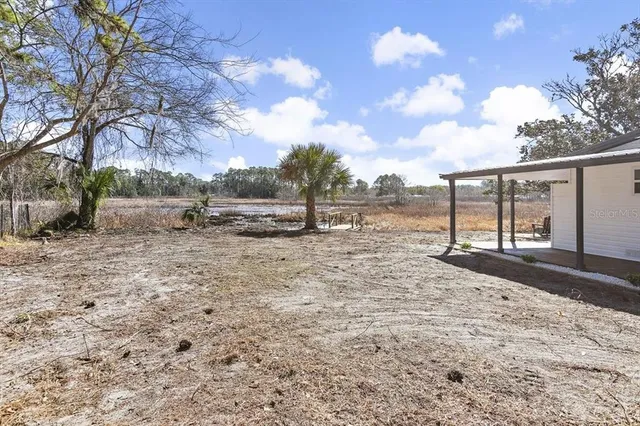a view of backyard with green space