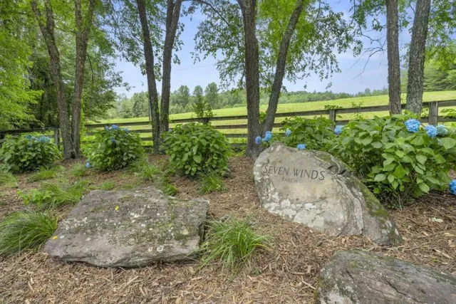 a view of a yard with plants