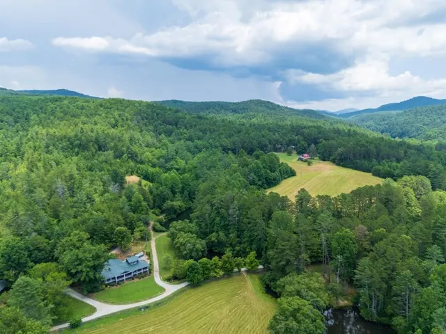a view of a park with large trees