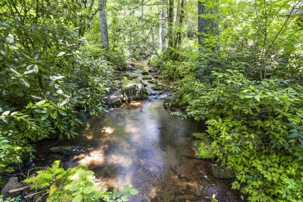 $3,500,000 | 9883 Warwoman Road, Clayton, GA 30525