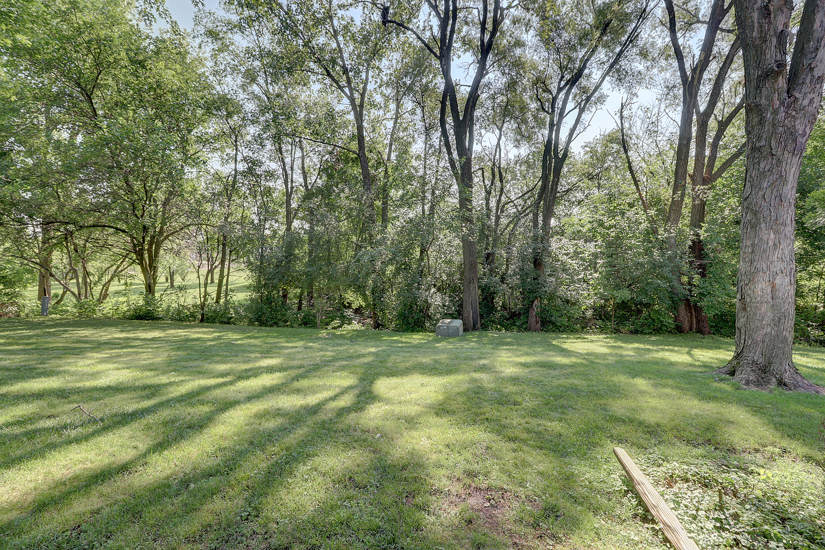 14801 South Penn Road Plainfield, IL 60544 - Photo 18 of 18 a view of a trees in a yard