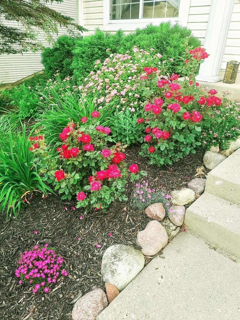 6 Falcon Ridge Court Algonquin, IL 60102 - Photo 31 of 42