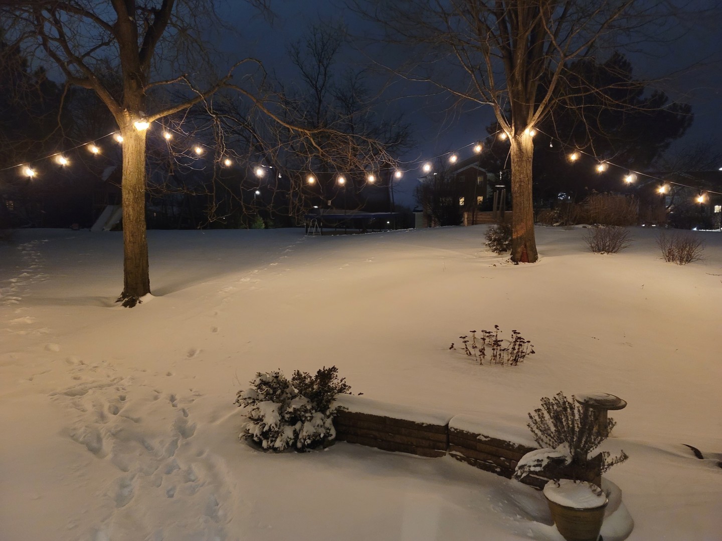 6 Falcon Ridge Court Algonquin, IL 60102 - Photo 41 of 42