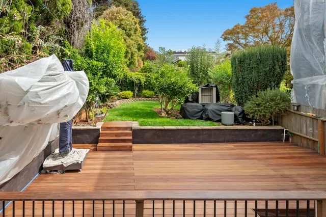 a view of a yard with plants