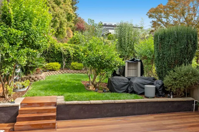 a view of a garden with large trees