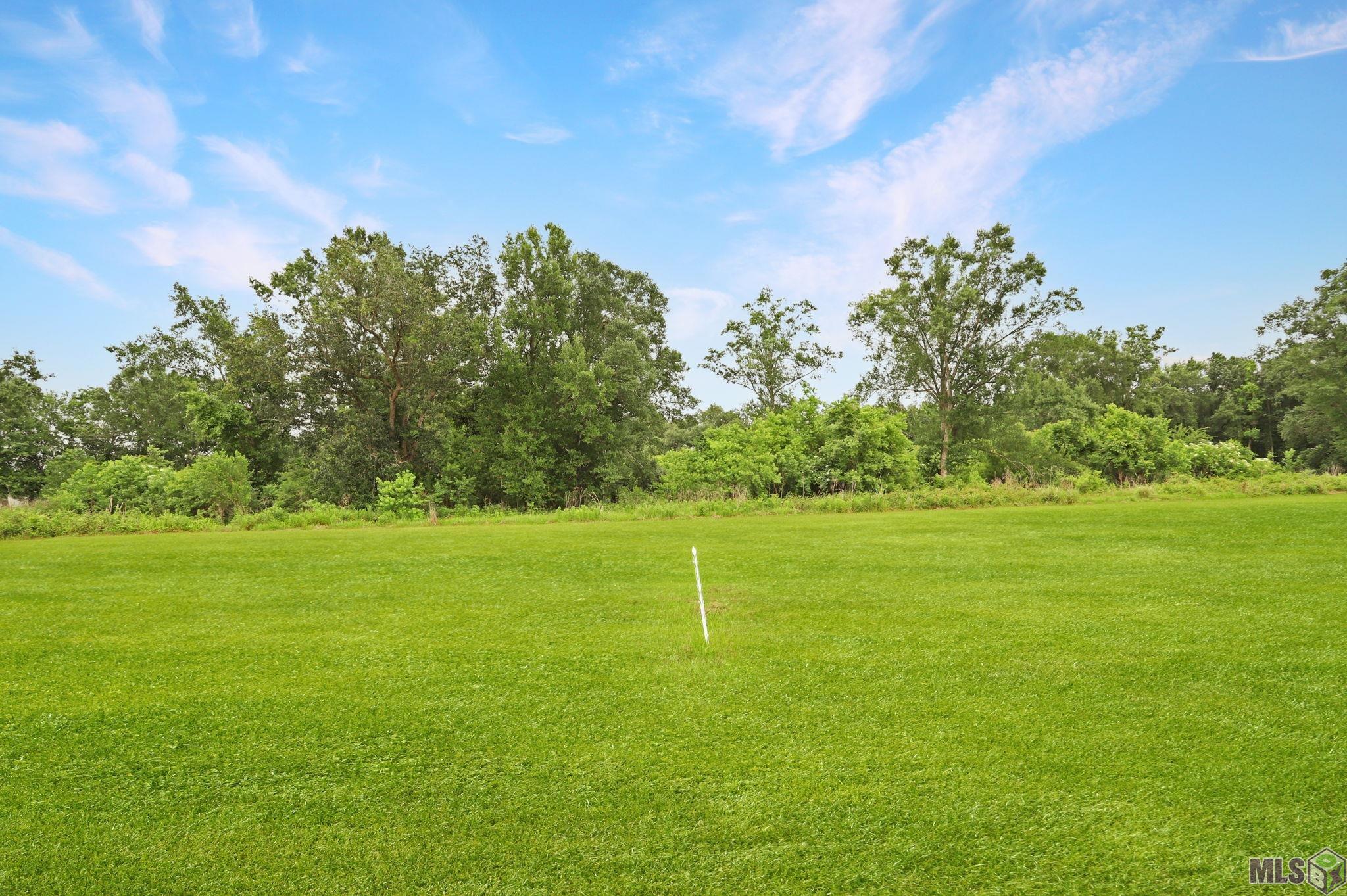 Lot 12 East Winder Road Thibodaux, LA 70301 - Photo 3 of 4