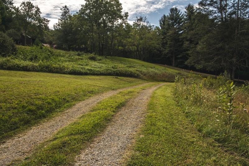 401 Sawmill Road Southwest Willis, VA 24380 - Photo 11 of 31 a yard with trees in the background