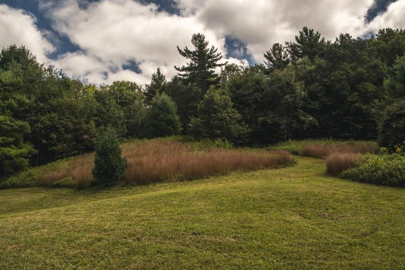 401 Sawmill Road Southwest Willis, VA 24380 - Photo 12 of 31 a backyard of a house with lots of green space