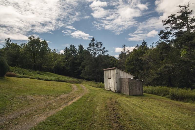 401 Sawmill Road Southwest Willis, VA 24380 - Photo 10 of 31 a backyard of a house with lots of green space and mountain view