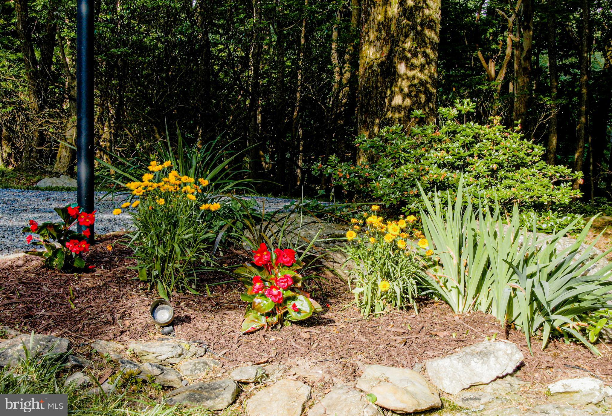 11220 Gambrill Park Road Frederick, MD 21702 - Photo 9 of 62