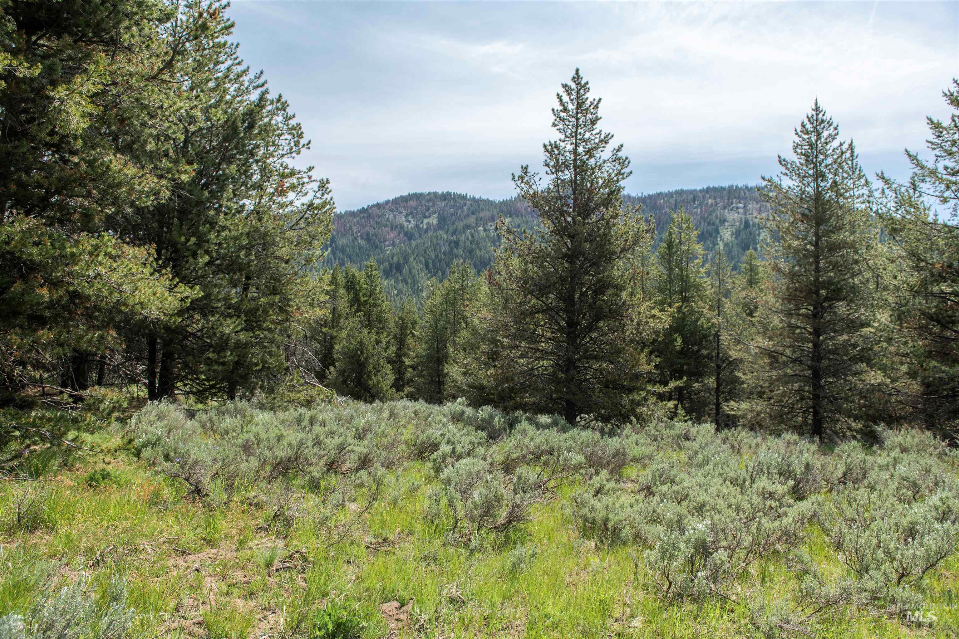 2 Warm Lake Road Cascade, ID 83611 - Photo 4 of 7