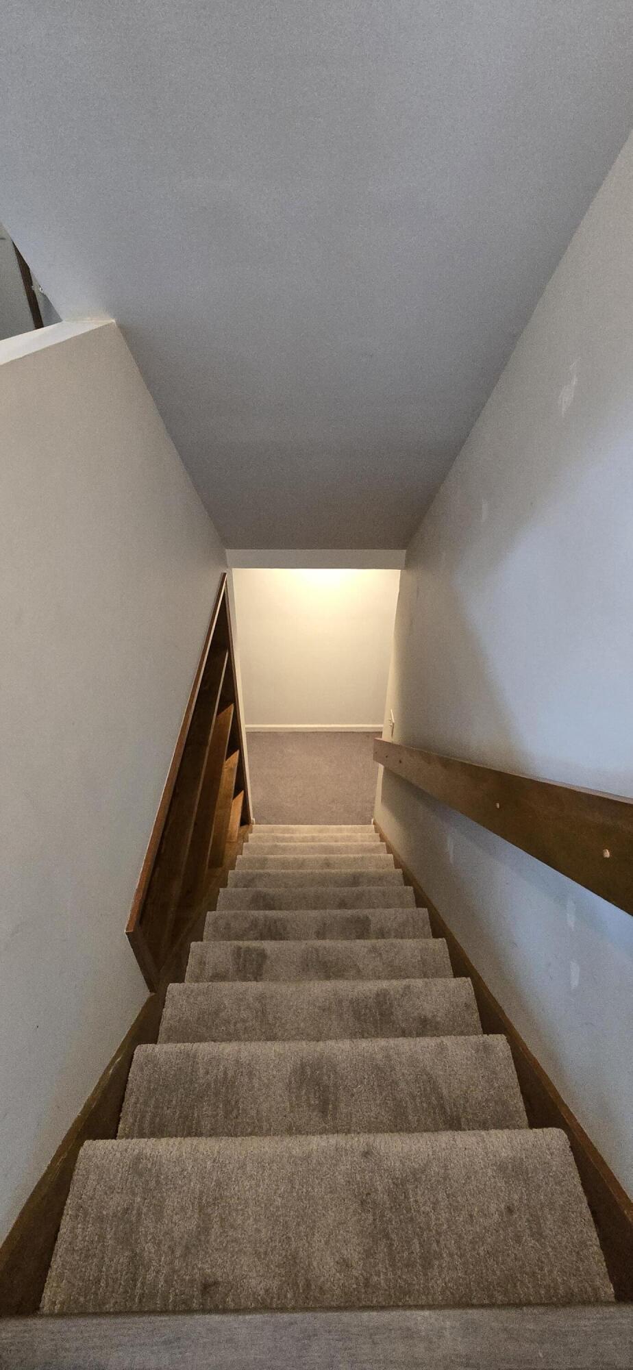 15460 Kelly Street Spring Lake, MI 49456 - Photo 30 of 44 stairs to basement