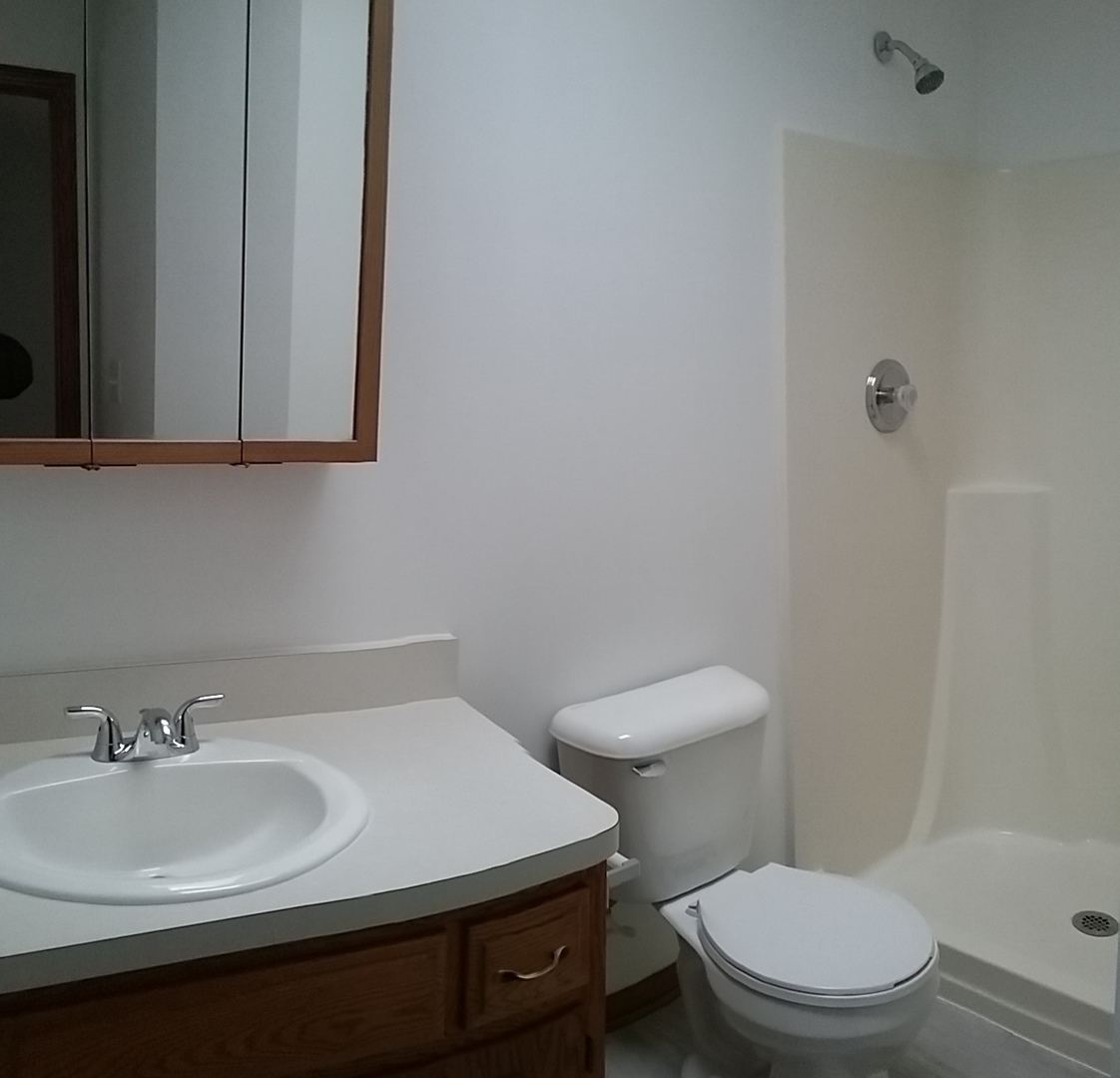 2208 Root Street Crest Hill, IL 60403 - Photo 13 of 21 a bathroom with a sink a toilet and mirror