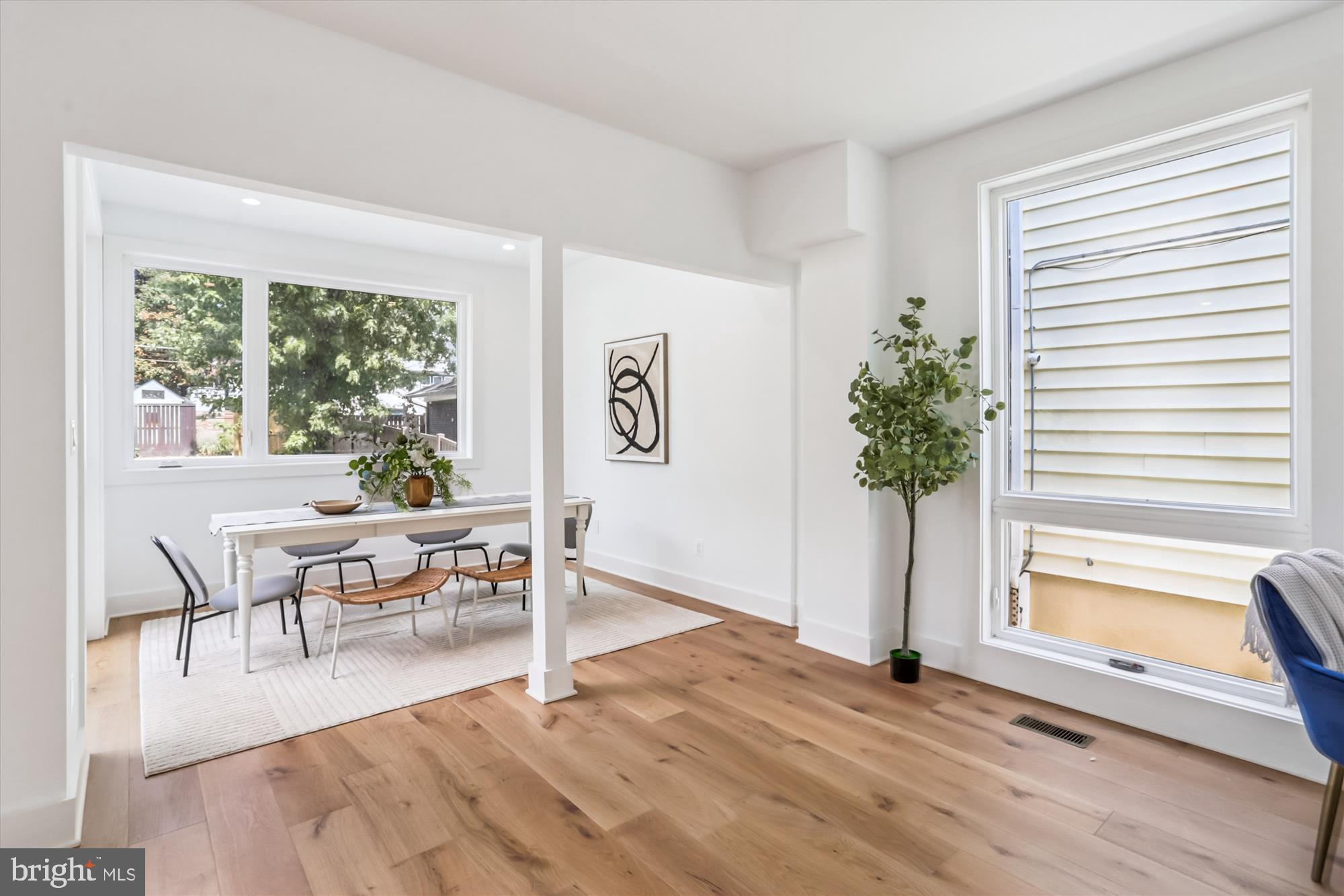 1341 Ingraham Street Northwest Washington, DC 20011 - Photo 15 of 51 a view of a livingroom with furniture and a potted plant
