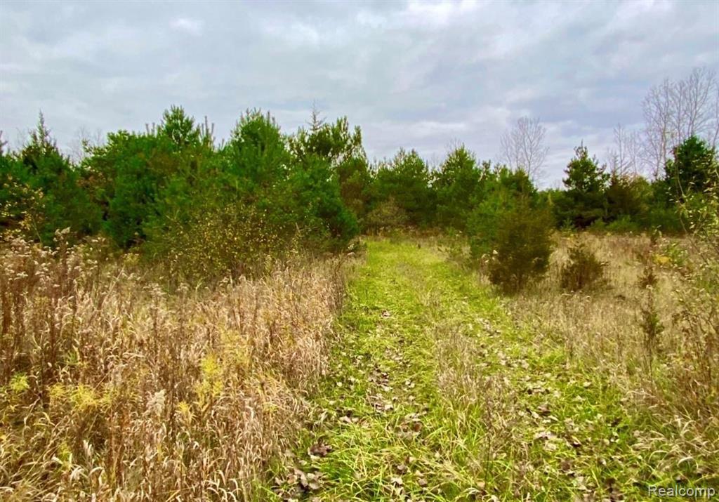 V/l Kelly Road Flushing, MI 48433 - Photo 5 of 23