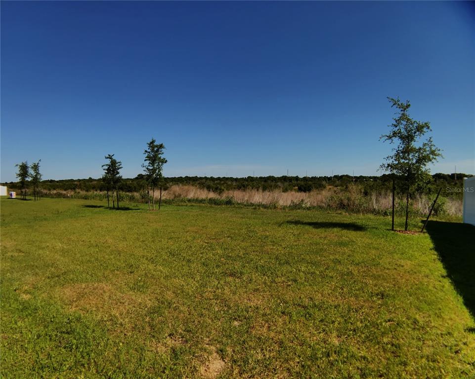 1935 Partin Terrace Road Kissimmee, FL 34744 - Photo 42 of 42