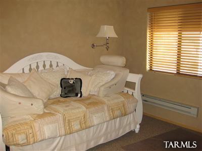 11168 East Carter Canyon Road Mount Lemmon, AZ 85619 - Photo 10 of 20