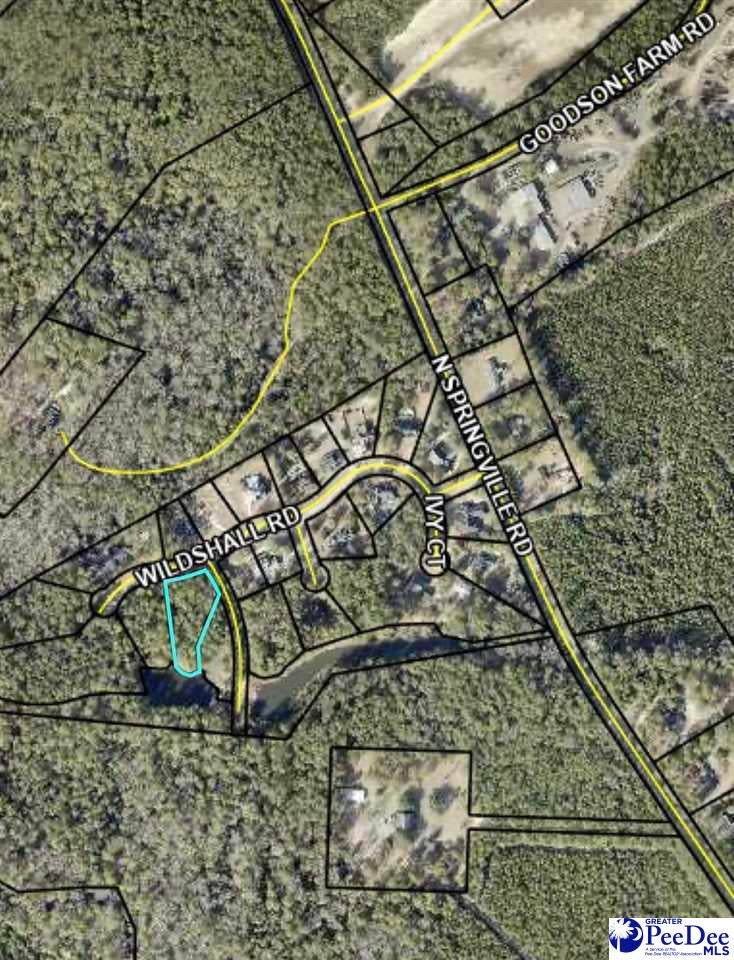 Lot 14 Wildshall Road Darlington, SC 29540 - Photo 6 of 7 Gallery Image 6